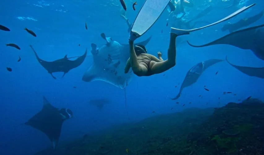 1_bali-nusa-penida-excursion-tour-to-see-manta-rays-by-boat