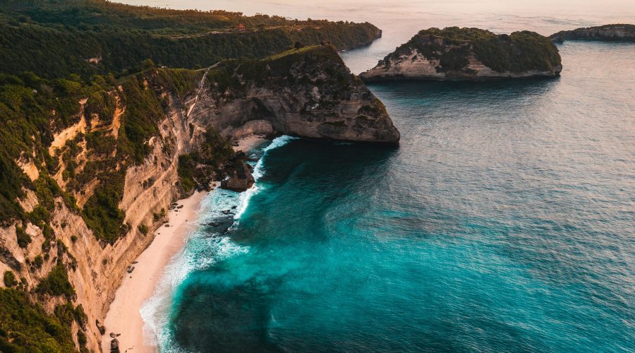 pexels-stijn-dijkstra-1306815-2583832